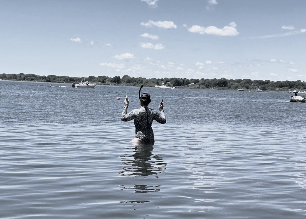 How to Get Into Marine Biology Without a PhD (And Skip the Academic BS)