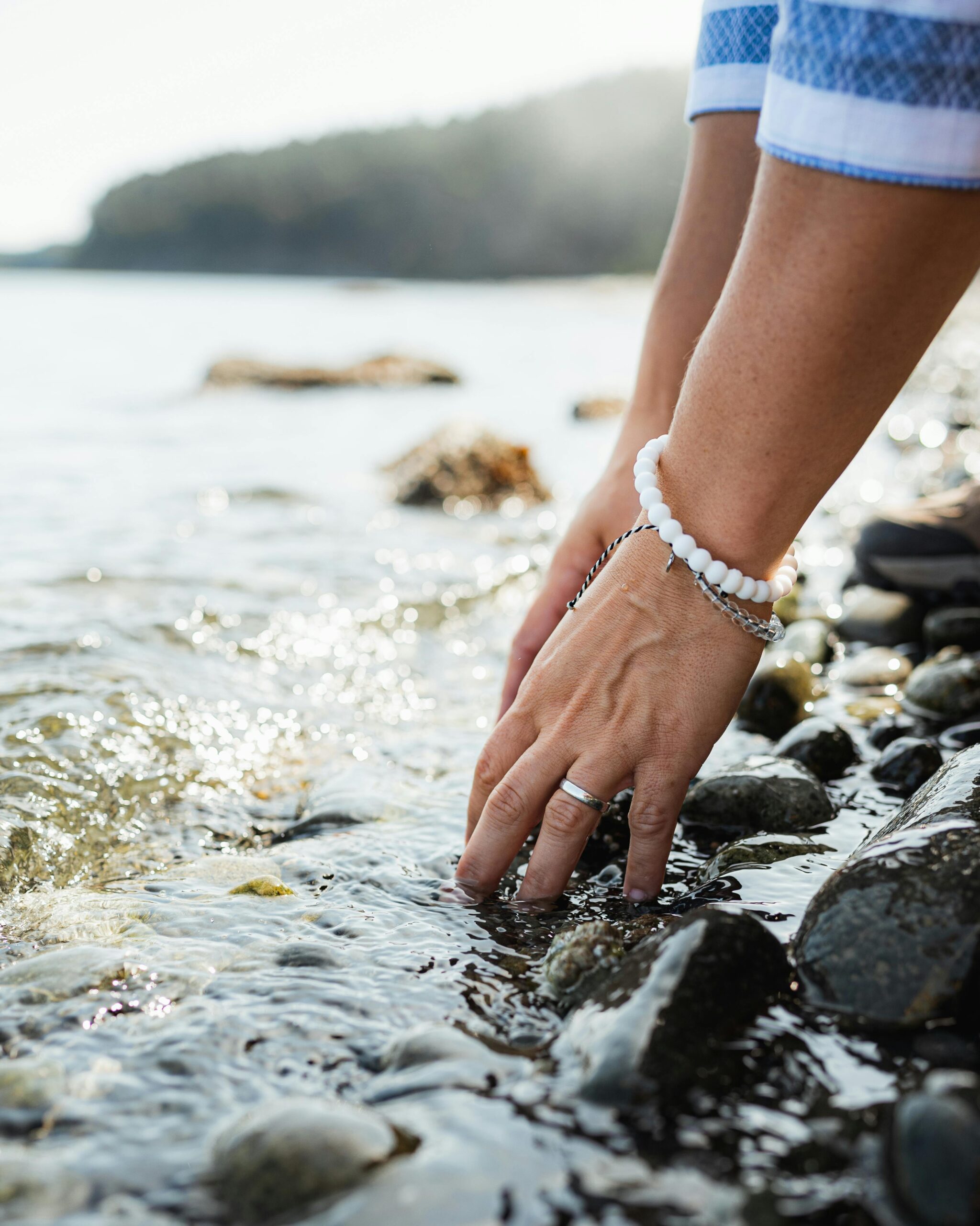 How to Get Into Marine Biology Without a PhD