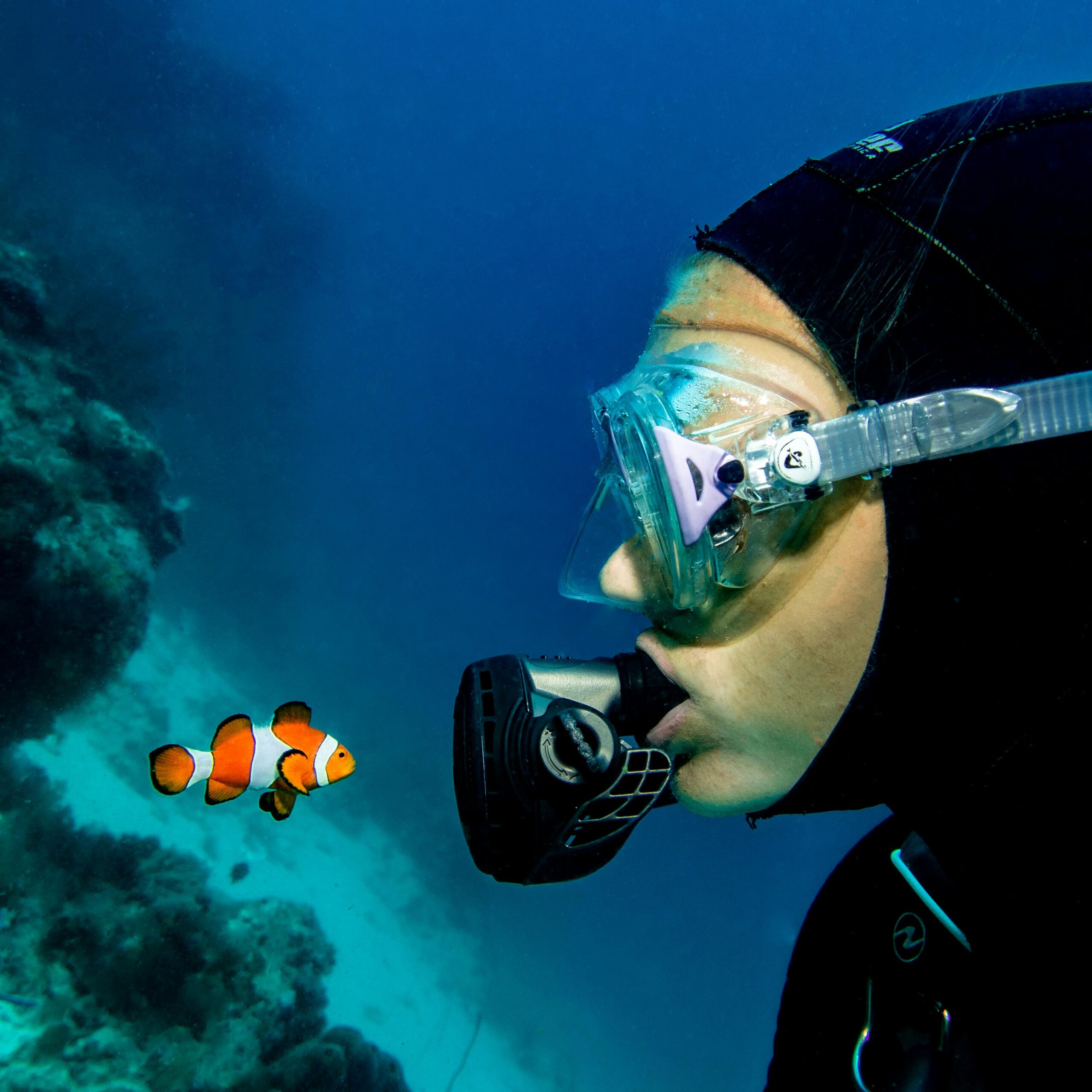 Is Marine Biology Worth It? Salary, Jobs, and Career Reality