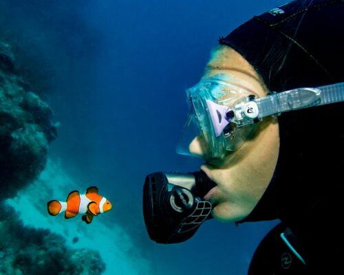 marine-biologist-looking-at-fish
